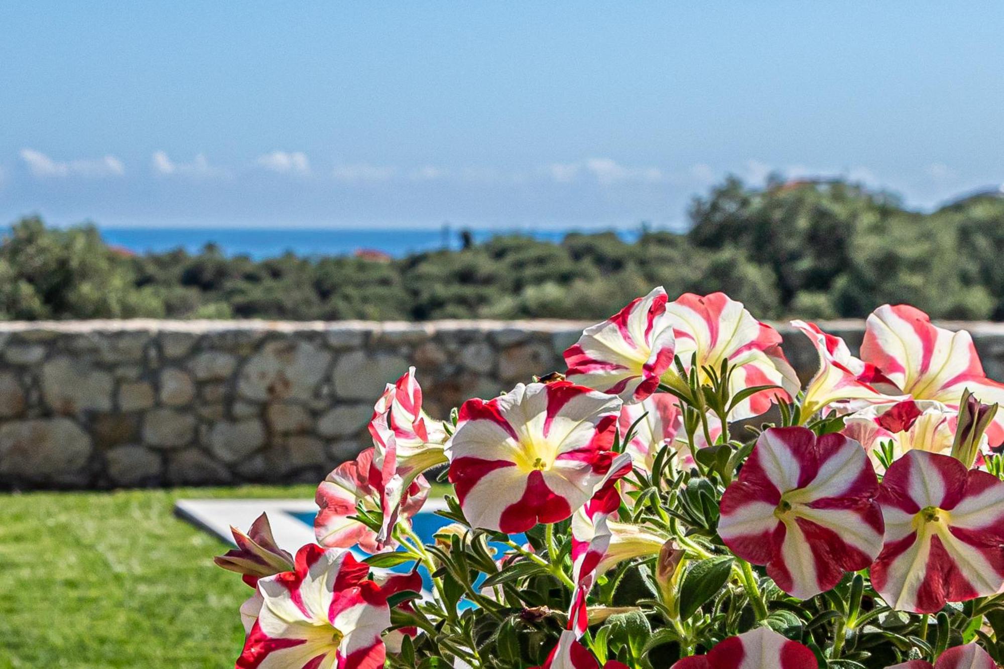 Villa PENELOPE Galatás Esterno foto